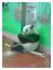 Guangzhou Zoo<br>Panda.